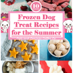 10 Easy Homemade Dog Treat Recipes for the Summer