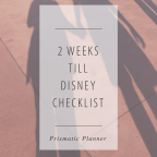 2 Weeks till Disney Checklist
