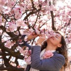 Tokyo’s Most Stunning Cherry Blossoms Spots