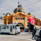 8 of the BEST markets to visit in Melbourne! 
