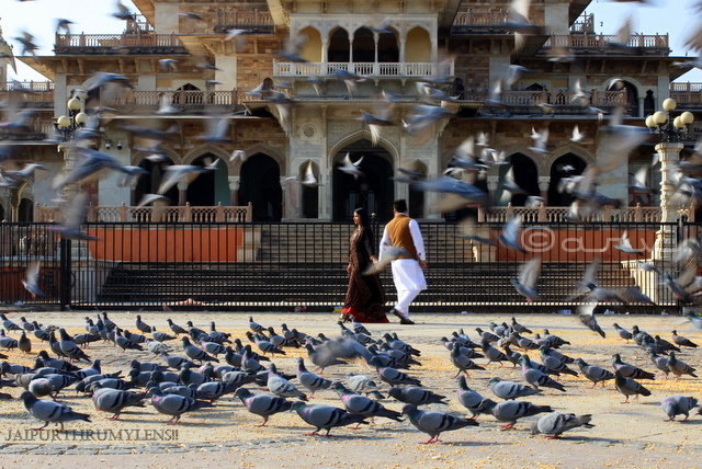 best-pre-wedding-places-jaipur-photo-shoot-albert-hall-museum