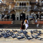 Best Places For Pre-Wedding Photo shoots in Jaipur