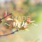 Made New {Spring Photography}