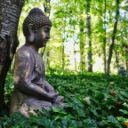 4 ways to achieve stillness among fuss