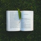 Surrounded: How Books Are Keeping Me Going in Quarantine