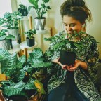 Beginner Plant Tips: Becoming A Better Plant Parent