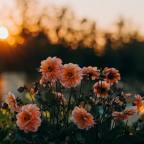 7 powerful pros of living in the present moment