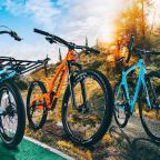 3 Types of Bikes: What You Need to Know