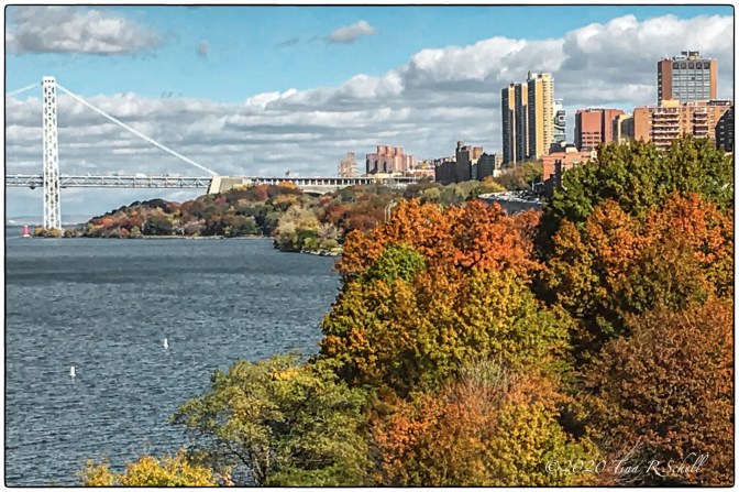 AUTUMN, NYC, FALL COLOR