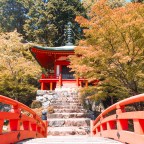 The Ultimate Guide to Japan