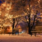 The Most Wonderful Time of the Year