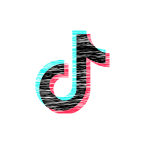 TikTok Rabbit Hole