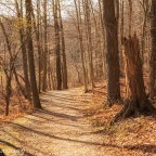 Walk-About