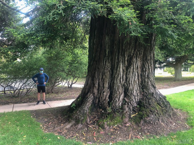 California, San Francisco, Pandemic, Photography, iPhone, City, Isolation, Jane Lurie