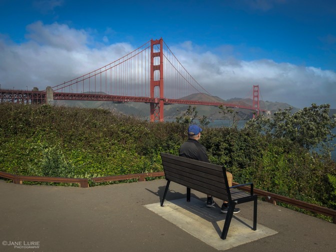 California, San Francisco, Pandemic, Photography, iPhone, City, Isolation, Jane Lurie