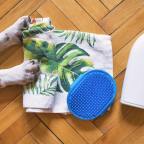 5 Natural Remedies For Pets