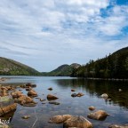 Lens-Artists Challenge #150:   Let’s Get Wild
