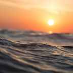 How To Take Stunning Photographs With Your Phone
