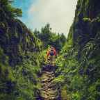 Top 10 Travel Destinations for Nature Lovers (USA)