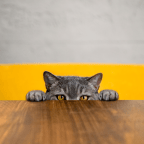How to Stop Obsessing Over Your Mistakes
