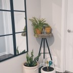Cement Plant Stand That ANYONE Can Make!