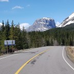 Sheep River Road Cycle Trip