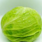 The Nutritional Value And Benefits of Cabbage