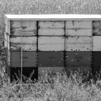 June 2021 – Picture Colour “Black & White”