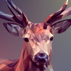 The Best Photo Editing Software of 2021