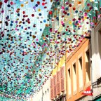 Raining Flowers and Umbrellas