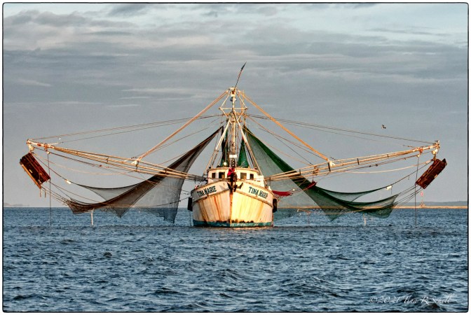 shrimp boat
