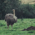 Family Day Out At Manor Wildlife Park And Fujifilm 18-135mm Review