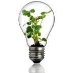 How to Bring Your Breakthrough Ideas to Life.