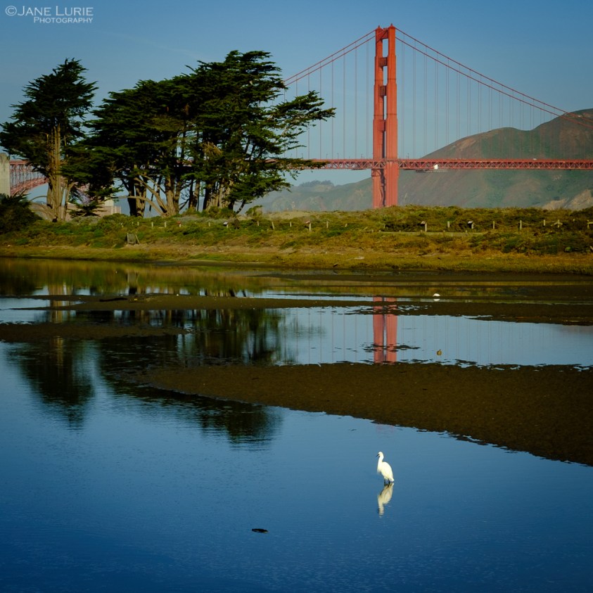 Golden Gate Bridge, Photography, San Francisco, Fujifilm X-T4, City, Urban, Bay Area, 