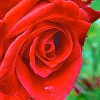 Sunday Stills:  June #Solstice