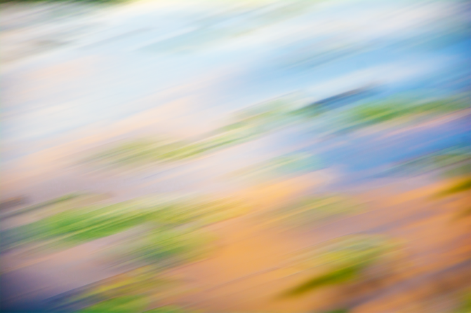Seerosen_Blur_web